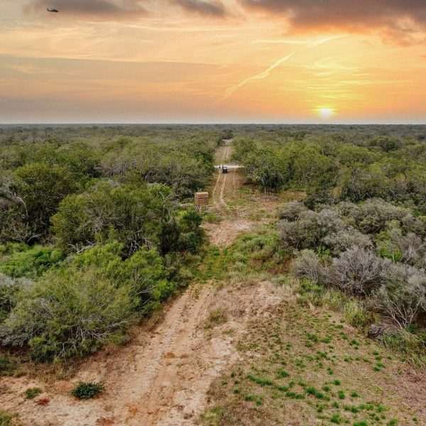 the ranch texas trophy whitetail deer hunting
