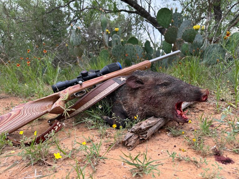 Javelina hunting at TheRanch@Camp Ka Hui 'Ana